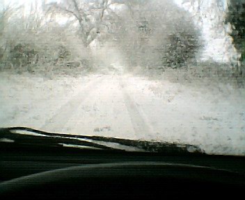 Snowy sneak-thieves prey on cosy car-owners